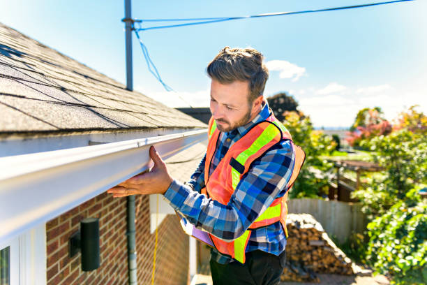 Best Roof Moss and Algae Removal  in Malad City, ID